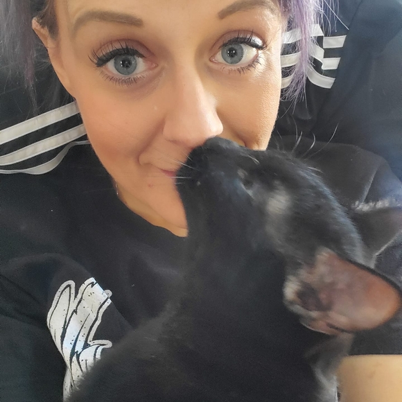 Meet your Posher, Robin - Picture 1 of 1